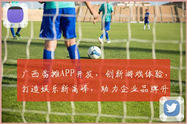 广西番摊APP开发,创新游戏体验,打造娱乐新高峰,助力企业品牌升级,三重惊喜,不容错过